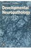 Developmental Neuropathology