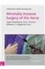 Minimally Invasive Surgery of the Horse