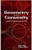 Geometry and Convexity