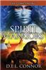Spirit Warriors: The Concealing
