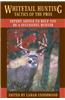 Whitetail Hunting Tactics of the Pros