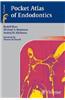 Pocket Atlas of Endodontology