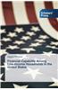 Financial Capability Among Low-Income Households in the United States