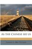 As the Chinese See Us