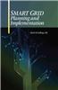 Smart Grid Planning and Implementation