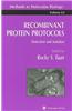 Recombinant Protein Protocols