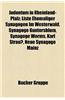 Judentum in Rheinland-Pfalz: Judische Gemeinde in Rheinland-Pfalz, Judischer Friedhof in Rheinland-Pfalz, Judisches Museum in Rheinland-Pfalz