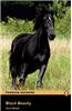 Black Beauty