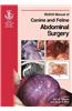 BSAVA Manual of Canine and Feline Abdominal Surgery