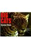 Big Cats