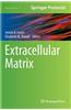 Extracellular Matrix
