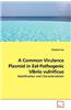 A Common Virulence Plasmid in Eel-Pathogenic Vibrio Vulnificus - Identification and Characterization
