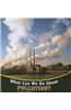 What Can We Do About Pollution?