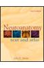 Neuroanatomy