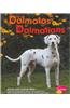 Dalmatas/Dalmatians