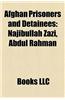 Afghan Prisoners and Detainees: Najibullah Zazi