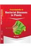 Encyclopaedia Of Bacterial Diseases In Plants