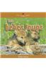 Les Bebes Loups