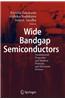 Wide Bandgap Semiconductors