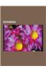 Katanga: Gouverneur Du Katanga, Secession Du Katanga, Territoire Du Katanga, Ville Du Katanga, Union Miniere Du Haut Katanga, B