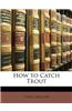 How to Catch Trout