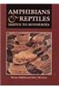 Amphibians and Reptiles