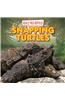 Snapping Turtles