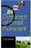 Diseases Of Small Ruminant