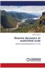 Riverine Dynamics at Watershed Scale