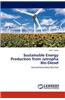 Sustainable Energy Production from Jatropha Bio-Diesel