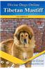Tibetan Mastiff