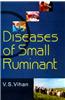 Diseases Of Small Ruminant