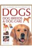 Ultimate Encyclopedia of Dogs, Dog Breeds and Dog Care