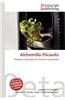 Alchemilla Filicaulis