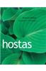 Hostas