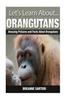 Orangutans: Amazing Pictures and Facts about Orangutans