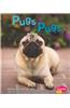 Pugs/Pugs