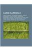 Large Cardinals: Shelah Cardinal, Inaccessible Cardinal, Axiom of Determinacy, Large Cardinal, Zero Sharp, Measurable Cardinal