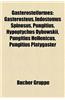 Gasterosteiformes: Gasterosteus, Indostomus Spinosus, Pungitius, Hypoptychus Dybowskii, Pungitius Hellenicus, Pungitius Platygaster