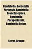 Bordetella: Bordetella Pertussis, Bordetella Bronchiseptica, Bordetella Parapertussis, Bordetella Avium