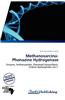 Methanosarcina-Phenazine Hydrogenase