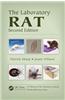 Laboratory Rat