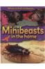 Minibeasts in the Home