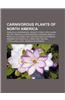 Carnivorous Plants of North America: Pinguicula Moranensis, Venus Flytrap, Utricularia Inflata, Pinguicula Orchidioides, Drosera Anglica