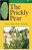 The Prickly Pear