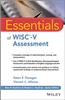 Essentials of WISC-V Assessment