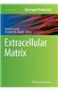 Extracellular Matrix