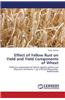 Effect of Yellow Rust on Yield and Yield Components of Wheat