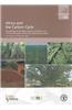 Africa and the Carbon Cycle: Proceedings of the Open Science Conference on 