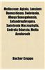 Meliaceae: Aglaia, Lansium Domesticum, Swietenia, Khaya Senegalensis, Entandrophragma, Swietenia Macrophylla, Cedrela Odorata, Me
